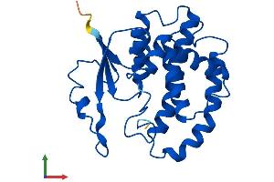 Protein Structure (PS) image for Glutathione S-Transferase mu 5 (GSTM5) (AA 1-224) protein (His tag) (ABIN7563323)