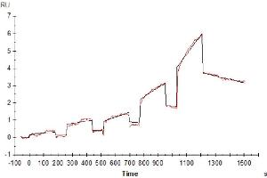 Cynomolgus LILRB2, His Tag immobilized on CM5 Chip can bind Cynomolgus HLA-G Complex Tetramer, His Tag with an affinity constant of 852 nM as determined in SPR assay (Biacore T200).