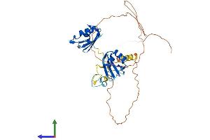 AlphaFold protein structure predicition of Mouse Recombinant Rbm4b Protein, UniprotID Q8VE92