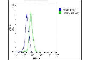 Overlay histogram showing Hela cells stained with (ABIN6242529 and ABIN6578789)(green line). (PKN1 抗体  (AA 836-870))