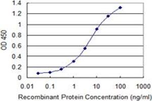 Detection limit for recombinant GST tagged ULK2 is 0. (ULK2 抗体  (AA 743-843))