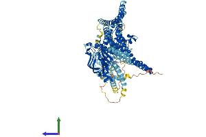 Protein Structure (PS) image for ATP-Binding Cassette, Sub-Family B (MDR/TAP), Member 6 (ABCB6) (AA 1-842) protein (His tag) (ABIN7561316)