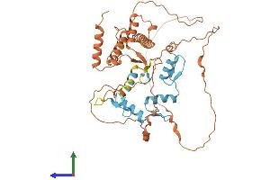 Protein Structure (PS) image for Zinc Finger and BTB Domain Containing 42 (ZBTB42) (AA 1-422) protein (His tag) (ABIN7545286)
