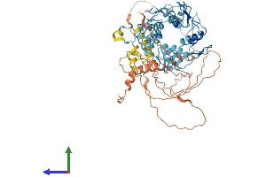 Protein Structure (PS) image for Zinc Finger Protein 416 (ZNF416) (AA 1-594) protein (His tag) (ABIN7545271)