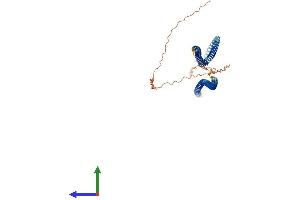 Protein Structure (PS) image for Beaded Filament Structural Protein 2, Phakinin (BFSP2) (AA 1-416) protein (His tag) (ABIN7557956)