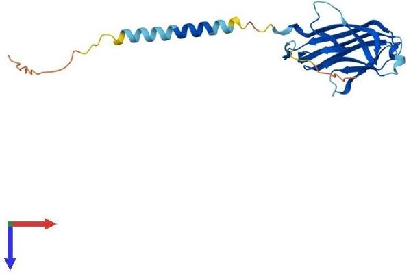 TNFSF4 Protein (AA 1-198) (His tag)