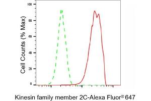 Flow cytometric analysis of Kinesin family member 2C expression in HAP-1 cells using Kinesin family member 2C antibody (ABIN7799205), 1:2,000). (Recombinant KIF2C 抗体)