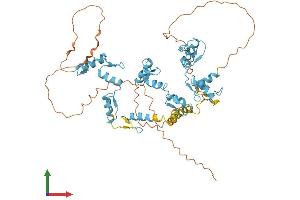 Protein Structure (PS) image for Zinc Finger Protein 775 (ZNF775) (AA 1-537) protein (His tag) (ABIN7545587)