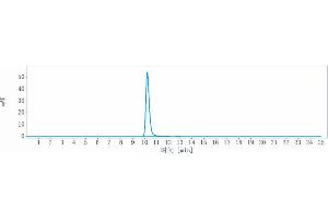 The purity of Anti-SIRPa / CD172a Reference Antibody (BI 765063) is more than 95 % , determined by SEC-HPLC. (Recombinant SIRPA 抗体)
