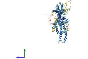 Protein Structure (PS) image for Stimulated By Retinoic Acid 6 (STRA6) (AA 1-667) protein (His tag) (ABIN7555654)