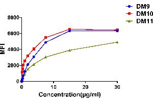 Affinity ranking of different Rabbit anti-CS1 mAb clones by titration of different concentration onto Raji cells. (Catalase 抗体  (AA 23-226))