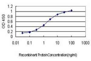 Detection limit for recombinant GST tagged UBTF is approximately 0.