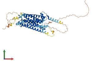 AlphaFold protein structure predicition of Mouse Recombinant Gpr39 Protein, UniprotID Q5U431 (GPR39 Protein (AA 1-456) (His tag))