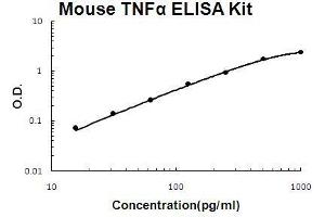 Mouse TNF alpha PicoKine ELISA Kit standard curve (TNF alpha ELISA 试剂盒)