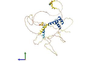 Protein Structure (PS) image for ALX Homeobox 4 (ALX4) (AA 1-411) protein (His tag) (ABIN7552085)