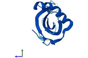 Protein Structure (PS) image for Cystatin A (Stefin A) (CSTA) (AA 1-98) protein (His tag) (ABIN7546957)