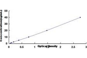 Typical standard curve (Biliverdin Reductase ELISA 试剂盒)