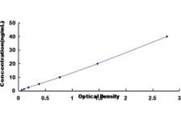 Biliverdin Reductase ELISA 试剂盒