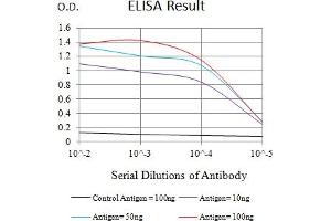 Black line: Control Antigen (100 ng),Purple line: Antigen (10 ng), Blue line: Antigen (50 ng), Red line:Antigen (100 ng) (Integrin beta 3 抗体  (AA 27-179))