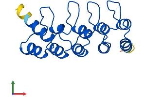 Protein Structure (PS) image for Cyclin-Dependent Kinase Inhibitor 2D (p19, Inhibits CDK4) (CDKN2D) (AA 1-166) protein (His tag) (ABIN7557610)