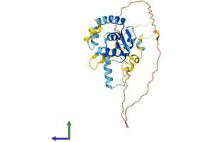 AlphaFold protein structure predicition of Mouse Recombinant Foxr1 Protein, UniprotID Q3UTB7