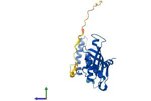 Protein Structure (PS) image for GTP Cyclohydrolase 1 (GCH1) (AA 1-250) protein (His tag) (ABIN7547848)