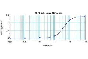 Image no. 1 for anti-Fibroblast Growth Factor 1 (Acidic) (FGF1) antibody (Biotin) (ABIN465423) (FGF1 抗体  (Biotin))