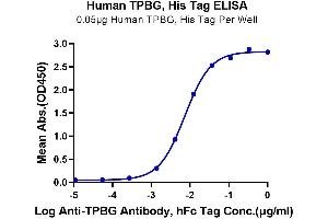 Immobilized Human TPBG, His Tag at 0. (TPBG Protein (AA 32-355) (His-Avi Tag))