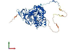 Protein Structure (PS) image for Dihydropyrimidinase-Like 3 (DPYSL3) (AA 1-570) protein (His tag) (ABIN7557766)