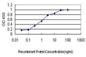 Detection limit for recombinant GST tagged HCAP-G is approximately 0. (NCAPG 抗体  (AA 336-435))