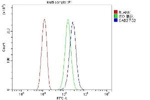 Flow Cytometry analysis of U20S cells using anti- GAD65/GAD2 antibody (ABIN7603170).
