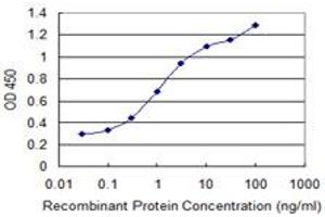 Detection limit for recombinant GST tagged GNPNAT1 is 0. (GNPNAT1 抗体  (AA 1-90))