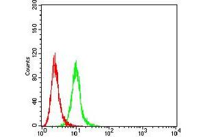 Flow cytometric analysis of K562 cells using CD10 mouse mAb (green) and negative control (red). (MME 抗体  (AA 549-750))