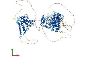 Protein Structure (PS) image for Potassium Large Conductance Calcium-Activated Channel, Subfamily M, alpha Member 1 (KCNMA1) (AA 1-1236) protein (His tag) (ABIN7554321)