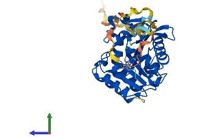 AlphaFold protein structure predicition of Mouse Recombinant Abhd17c Protein, UniprotID Q8VCV1