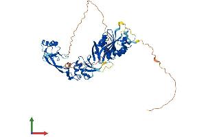 Protein Structure (PS) image for tRNA Methyltransferase 5 (TRMT5) (AA 1-509) protein (His tag) (ABIN7544726)