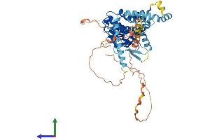 Protein Structure (PS) image for Patatin-Like phospholipase Domain Containing 2 (PNPLA2) (AA 1-504) protein (His tag) (ABIN7555029)