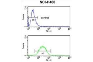 Flow Cytometry (FACS) image for anti-Fibulin 3 (FBLN3) antibody (ABIN3004030) (FBLN3 抗体)