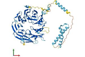 Protein Structure (PS) image for Eukaryotic Translation Initiation Factor 2A, 65kDa (EIF2A) (AA 1-581) protein (His tag) (ABIN7558709)