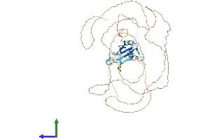 Protein Structure (PS) image for TAF15 RNA Polymerase II, TATA Box Binding Protein (TBP)-Associated Factor, 68kDa (TAF15) (AA 1-592) protein (His tag) (ABIN7551190)