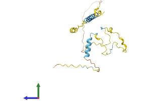 Protein Structure (PS) image for Linker For Activation of T Cells Family, Member 2 (LAT2) (AA 1-203) protein (His tag) (ABIN7561511)