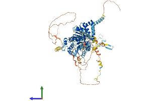 Protein Structure (PS) image for DEAD (Asp-Glu-Ala-Asp) Box Polypeptide 54 (DDX54) (AA 1-881) protein (His tag) (ABIN7553651)