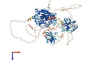 KDM4C Protein (AA 1-1056) (His tag)