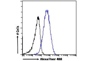 (ABIN185516) Flow cytometric analysis of paraformaldehyde fixed A431 cells (blue line), permeabilized with 0. (KPNB1 抗体  (C-Term))