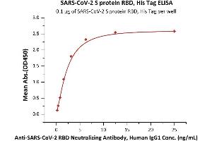 Immobilized SARS-CoV-2 S protein RBD, His Tag (ABIN6973234) at 1 μg/mL (100 μL/well) can bind A-CoV-2 RBD Neutralizing Antibody, Human IgG1 (SAD-S35) with a linear range of 0.