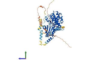 Protein Structure (PS) image for serine/threonine Kinase 32C (STK32C) (AA 1-488) protein (His tag) (ABIN7559600)