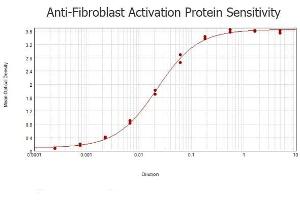 ELISA results of purified Rabbit anti-Fibroblast Activation Protein (FAP) Antibody tested against BSA-conjugated peptide of immunizing peptide. (FAP 抗体  (Internal Region))