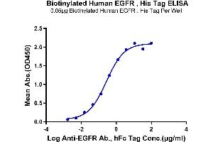 Immobilized Biotinylated Human EGFR at 0.
