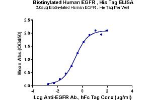 Immobilized Biotinylated Human EGFR at 0. (EGFR Protein (His-Avi Tag,Biotin))