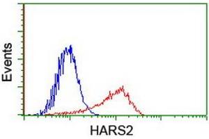 Image no. 2 for anti-Histidyl-tRNA Synthetase 2, Mitochondrial (Putative) (HARS2) antibody (ABIN1498582) (HARS2 抗体)